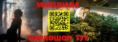 индика Лесосибирск
