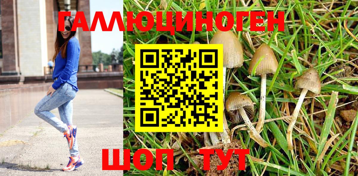 Псилоцибиновые грибы Psilocybe  Вход с VPN  Галлюциногенные грибы Psilocybine cubensis  Кировск 