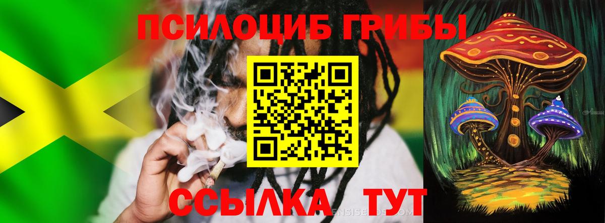 Псилоцибиновые грибы мицелий Кировск