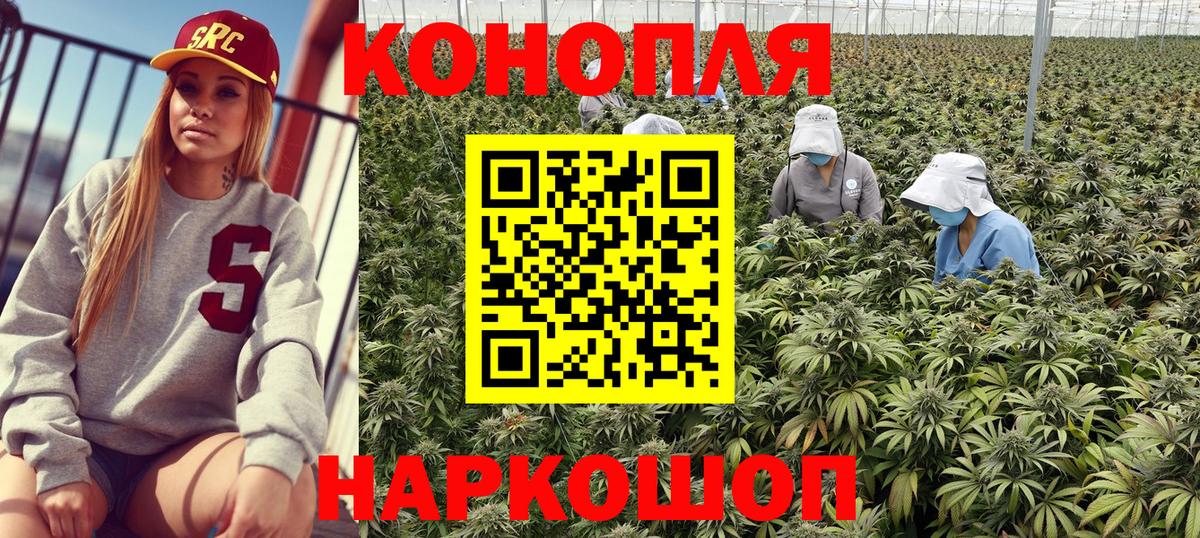 МАРИХУАНА индика  Вход с VPN  Кировск  Бошки Шишки ГИДРОПОН  Бошки Шишки Bruce Banner  Марихуана THC 21% 